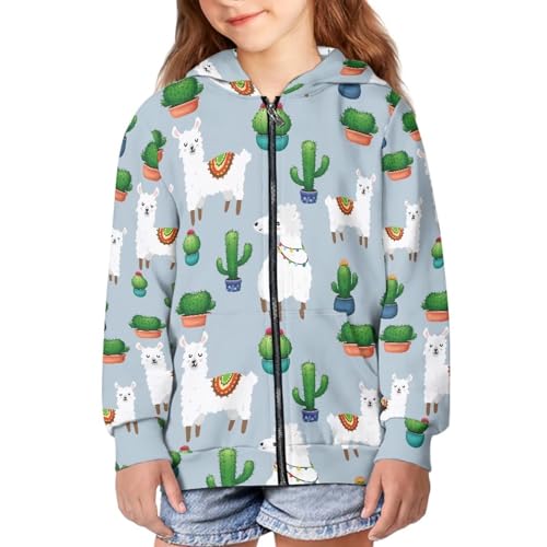 Image of Unisex Zipper Sweatshirt Boys Girls Hooded with 2 Pocket Pullover Hoodies for 6-16Y Kids
