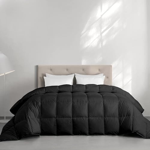 Image of Restful Sleep All Weather Comforter Double Bed Size - Dohar /Rajai /Blanket /Duvet -250 GSM Quilt Soft Microfiber Fill Double Bed (90 inchX100 inch) - Black Color