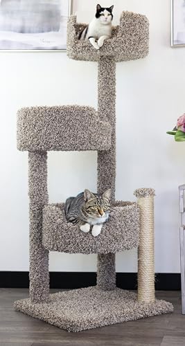 New Cat Condos 51