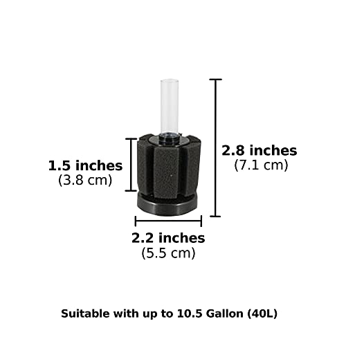 Image of SunGrow 10-Gallon Betta Sponge Filter, Underwater Center Aquarium Filter, Attach it to Air Pump (Not Included) to Run, Works for Tropical Fish & Breeder Aquarium, Perfect for Fry & Small Fish