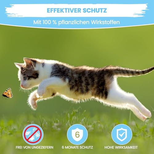MC-Royal® Premium Spot On Zeckenschutz für Katzen [6 Monate effektiver Schutz vor Zecken] Zeckenmittel für Katzen -Zeckenschutz Katze - Spot On for Cats