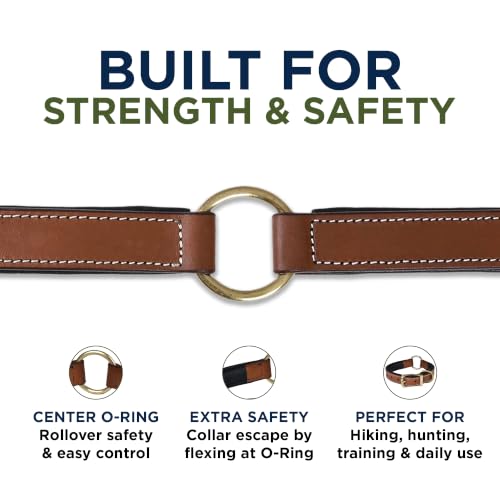 Image of Genuine Leather Adventure Dog Collar, Large, Soft Padding | Center O Ring, Brass Buckle, Medium, D Ring, Heavy Duty, Hand Tooled, Soft Nappa Padding, Fit Neck Size 18.5 inch-22.5 inch