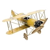 NIYANGLE Vintage Eisen Flugzeug Modell Doppeldecker Retro Metall Flugzeug Dekoration für Schreibtisch und Wohnzimmer Detailgetreu als Geschenk für Flugzeugliebhaber und Sammler