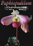 パフィオペディルム大図鑑―魅惑の原種120