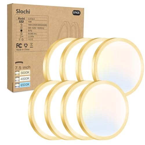 Slochi LED Flush Mount Ceiling Light Fixture