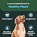 VETRISCIENCE Veterinary Strength Healthy Heart Chews - Heart & Energy Supplement for Pets - Cardiovascular Supplement - Pet Blood Flow Support - Chicken Flavor - 60 Count