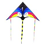 ❥ Material ligero, fácil de almacenar y transportar. Estas cometas brillantes y coloridas están garantizadas para durar años e incluso toda una vida de diversión al aire libre.