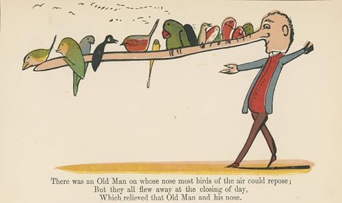 Cuadro en lienzo de Edward Lear pintura decorativa surrealista de 60x90cm para pared de salon