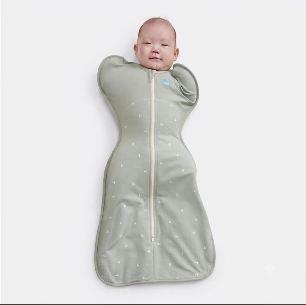 Amazon.com: Love to Dream Swaddle Up 2-in-1 Transition Bag | 1.0