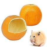 ZHWLOVE Futterautomat für Hamster 1PC Bird Feeder Kreative Simulation orange Cages Anti-Spread-Multivogelfutter Box Parrot Feeder Hamster Feeder