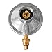 GASPRO Propane Control Valve and Regulator with a 1
