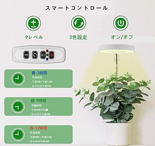 Rigute 植物育成ライト LED の商品画像 3