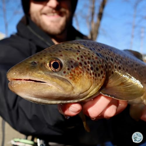 S8, Ep 4: Chilly Waters and Crafty Flies: A New Year Fishing Report with George Costa