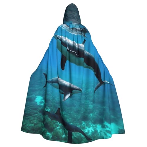 Cape dauphin avec capuche pour créer un costume de sorcière original
