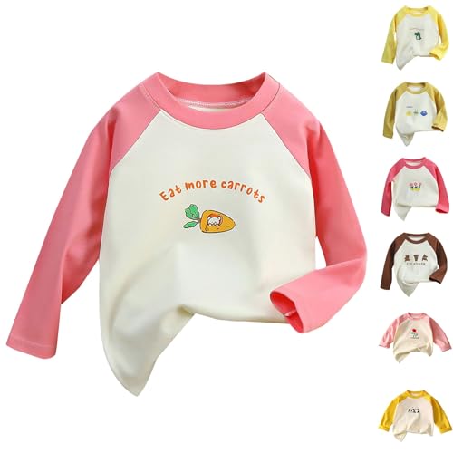 Kids Girls Long Sleeve T Shirts Casual Fall Winter Tops Toddler Cute Graphic Soft Cotton Crewneck Raglan Trendy Clothes