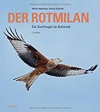  Der Rotmilan: Ein Greifvogel im Aufwind