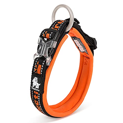 J&C Paradise X^CbV  {KX p y  3M  lC \tgpbh v ߉\ TRUELOVE (IW×ubN, XXS)