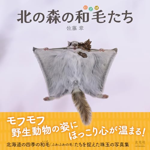 本の表紙