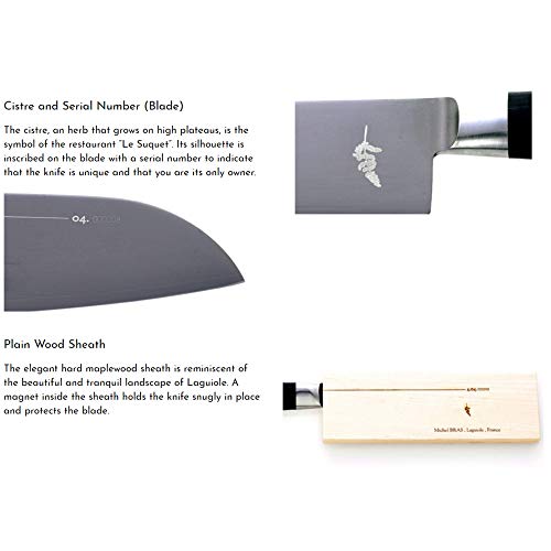 Michel BRAS 10 Piece Knife Set, Handcrafted Kitchen Knife Set, 3 Layer Stainless Steel Blades, Black Pakkawood Handles, Precision and Sharpness for Professional and Home Chefs