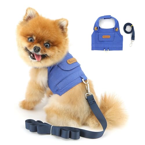 PAIDEFUL ^ ^ fj n[lX L Lp [hZbg p  [h y EȒP \ q P s⏕p lC  Lʗp hbOEFA ybgpi DO U?,Cgu[,L