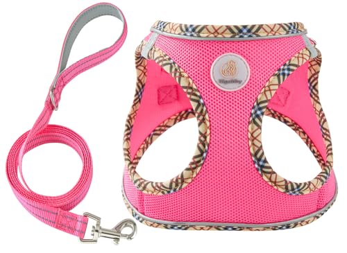 Hipubby 犬用ハーネス 小型とリーシュセット、引っ張り防止ソフトメッシュ子犬ベスト、反射通気性軽量ペットハーネス、小型、中型犬、猫用ハーネス(ローズレッド、XS)の商品画像（Amazon）