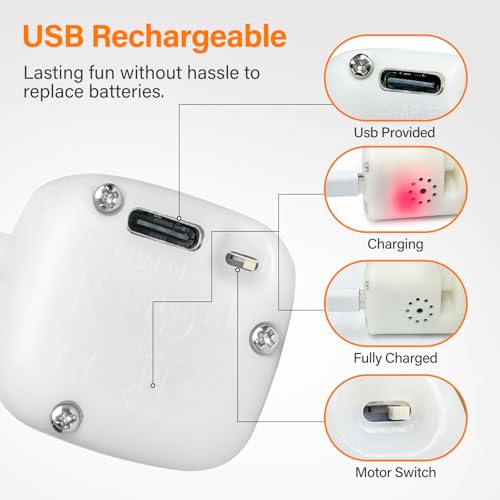 Jouet interactif pour chat tactile oiseau électrique rechargeable
