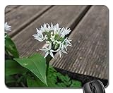 Gaming-Mauspads, Mäusematte, Bärlauch-Blütenstand-Blüten-Blüten-Weiß