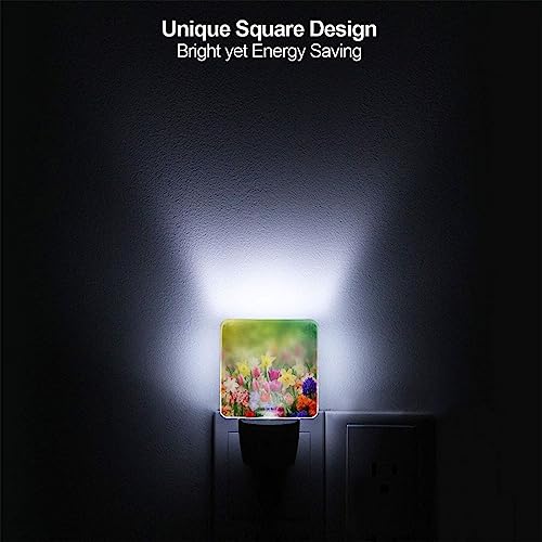 Lámparas de noche LED con sensor automático 2 piezas miniatura 2