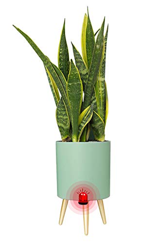 Yuepin Maceta Inteligente con Soporte, Exterior Interior Tiesto con Patas, Maceta de Flores con Alarma de Escasez de Agua, 7.5 Pulgadas Tiesto con Riego Automático & Sistema de Drenaje (Verde)
