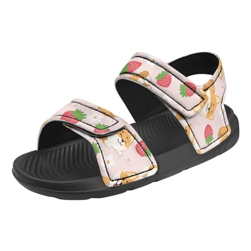 Boys Girls Sandals Cute Dachshund Print Kids Athletic Sport Sandals Open Toe Fashion Outdoor Hiking Shoes for Summer3