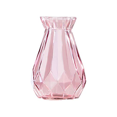 Greenf Vase en Verre Vase pour Fleurs Gros Vase À Fleurs Transparent, Terrariums pour Plante Hydroponique Pot De Fleurs, Vases Décoration des Centres de Table pour Maison Bureau Salon Mariage, Rose