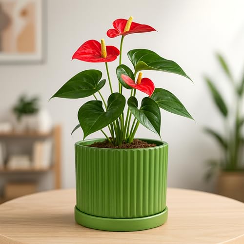 Image of Urban Plant Terracotta Pot with Saucer - Trendy Planter for Modern Home & Garden Spaces (Fresh Breath Terracotta Pot - Vertical)