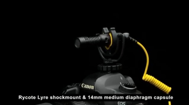 Amazon.com: Deity V-Mic D4 Mini Video Microphone 20mph Wind Rating
