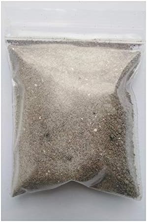 Instant Food for Daphnia 10g. Easy Way to Keep Your Daphnia Grow up!