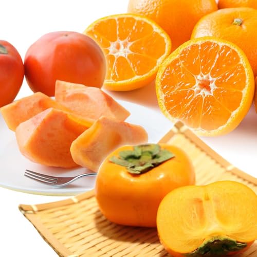 [定期便][魚鶴商店厳選]和歌山のフルーツ定期便(柿・みかん)[定期便全3回][UT115]