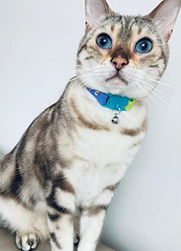 Image of Kittyrama Tahiti Cat Collar. Breakaway. Vet Approved. As Seen in Vogue. Other Styles Available