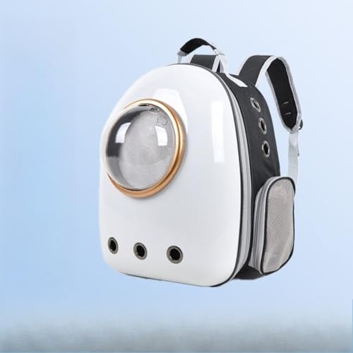 Qfmr LbN LL[ bN ybg obO ybgpL[obO LL[obO e hCu LsO H s ʉ@ ЊQ p oɕ֗ FD JvZ y ^p (zCg)