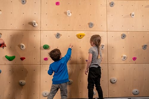 DIY Climbing Wall Panel – 47\" x 23.5\" Birch Plywood, Pre-Drilled T-Nuts, Textured & Paintable Surface – Indoor Home Gym & Kids Playroom Rock Wall Panel (Climbing Holds Not Included) (Natural) - Thumbnail 3