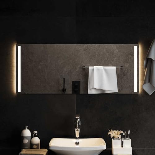 vidaXL LED Mirror For Bathroom and Vanity, 100x40 cm, Transparent Glass, IP65 Waterproof, Rectangular Shape, Includes Hooks for Easy Installation
