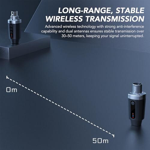 Sistema inalámbrico de micrófono LiebeWH 2.4G: transmisor y receptor XLR para micrófonos dinámicos, consolas de mezcla e instrumentos musicales (1 a 2) miniatura 7