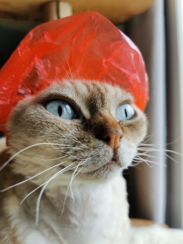 Image of Shower Caps for Sphynx Cats & Small Pets, Red 20-Pack Poly Bag - Waterproof Bath Protection with Elastic Band, Keeps Ears Dry During Grooming