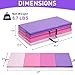 Gymnastics Mat, 3'x6'/4'x8' Thick Folding Kids' Gymnastic Tumbling Mat with Carrying Handles for Home Gym Exercise & Play (3x6FT-Pink Gradient).