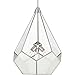 Cinq Collection 3-Light Clear Glass Global Pendant Light Brushed Nickel