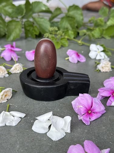 Image of Shivam VASTU AKAL 1.5 inch Original Narmadeshwar Narmada Shivling with 3 inch Narmada Stone Yoni Base Jaladhari (Ardhanarishwar Shivling, Black Flate Jaladhari)