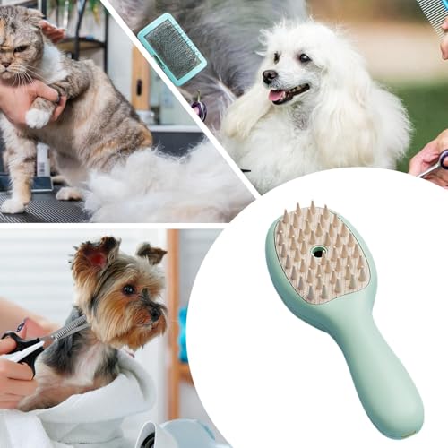 Cepillo de agua para gatos que fortalece el vínculo con tu compañero 4