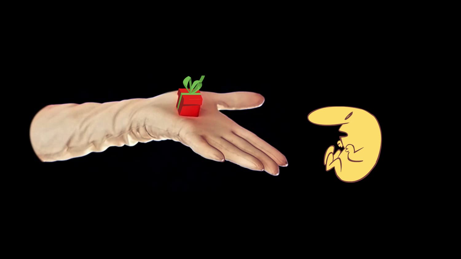 The Many Pieces of Mr. Coo [Collector's Edition] (Non-US Version)