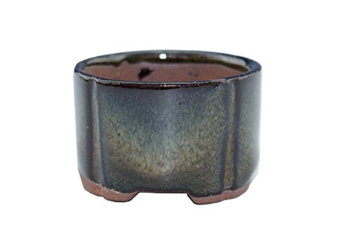 Miniature 1 5 Glazed Accent Mini Accent Ceramic Bonsai Pot | Desertcart  Brunei