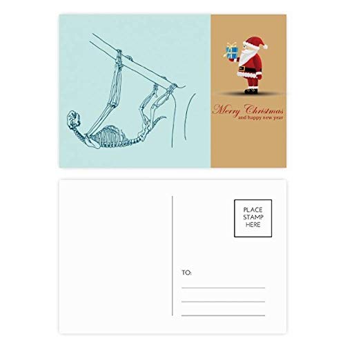 Cartes postales Sloth Squelette Père Noël lot de 20 papeterie humour
