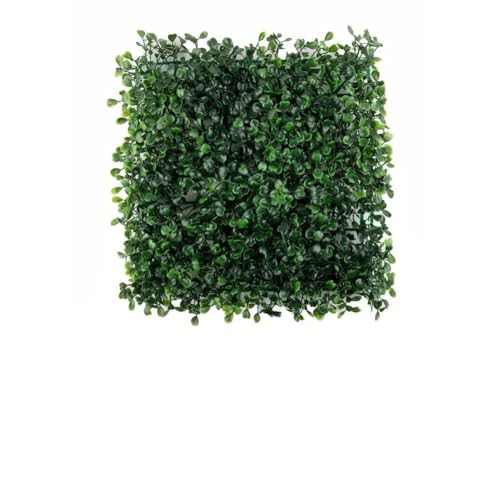 Versatili: resistenti ai raggi UV e all'acqua, questi pannelli possono essere utilizzati sia all'interno che all'esterno per migliorare l'aspetto di qualsiasi spazio.
