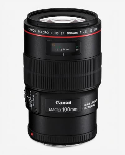 Canon EF 100mm f/2.8L IS USM Macro